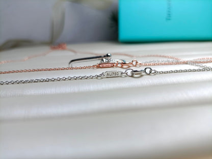[Dawnora Jewelry]HARDWEAR DROP DOUBLE LINK PEDANT NECKLACE