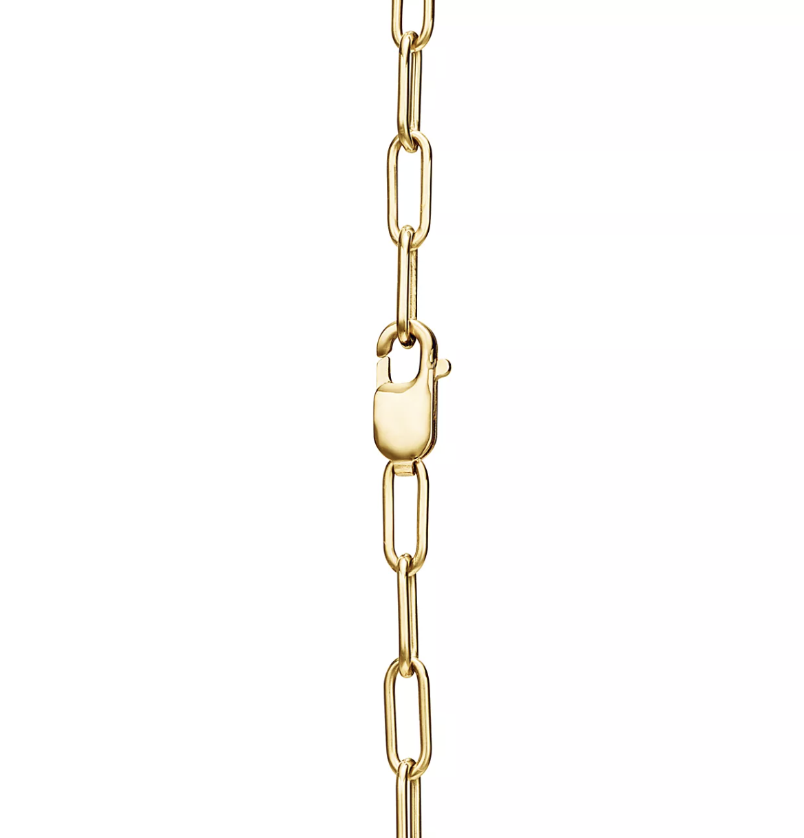 [Dawnora Jewelry]LOCK NECKLACE GOLD