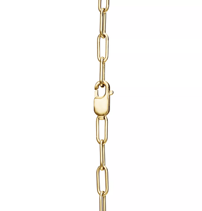 [Dawnora Jewelry]LOCK NECKLACE GOLD