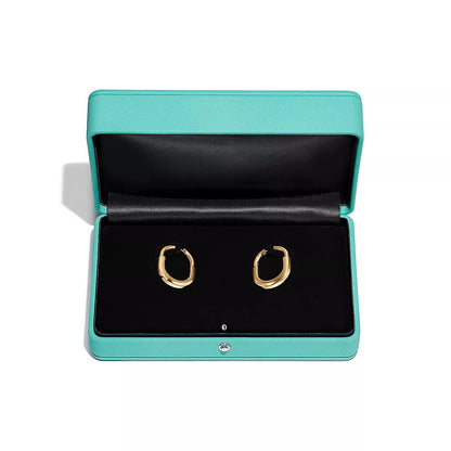 [Dawnora Jewelry]LOCK MEDIUM EARRINGS